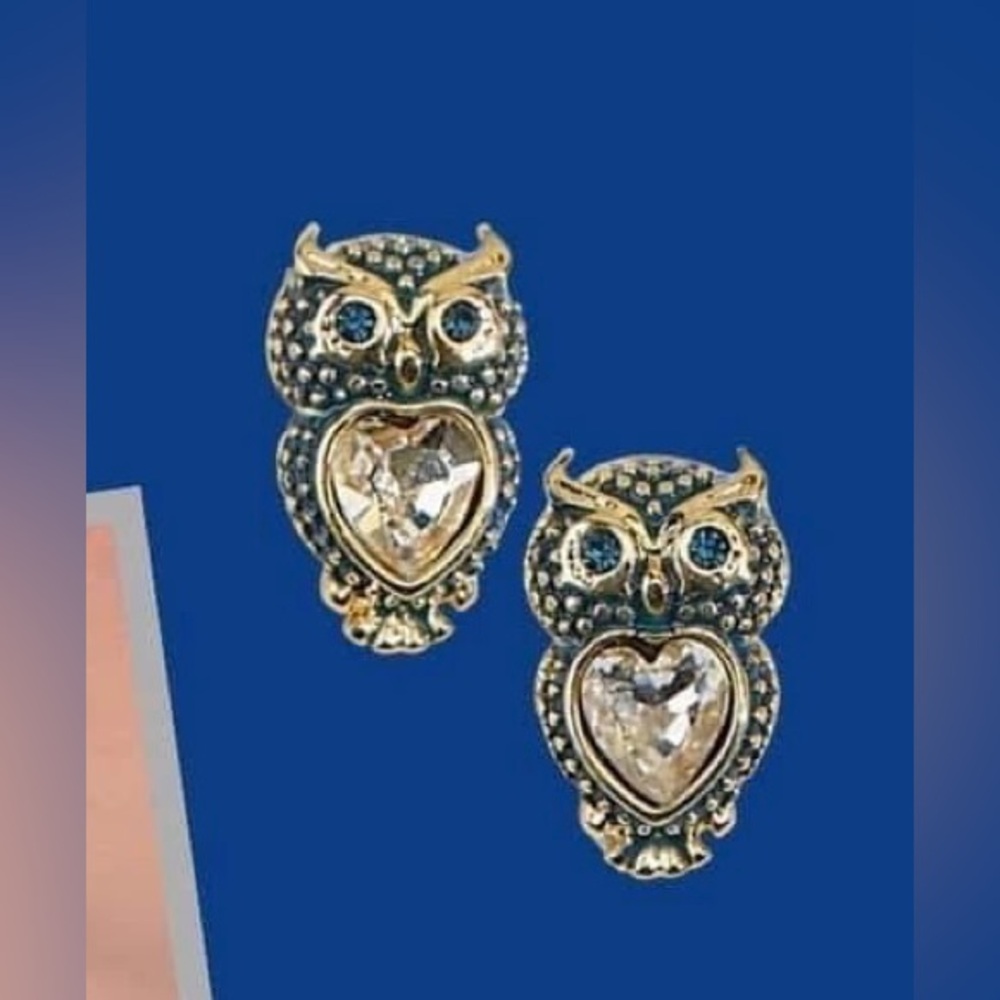 Hootie Owl Earrings